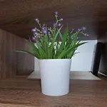 Apartman Danica