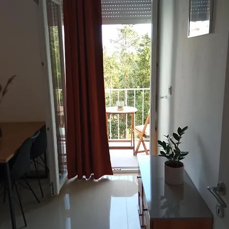 Apartment Danica Zadar