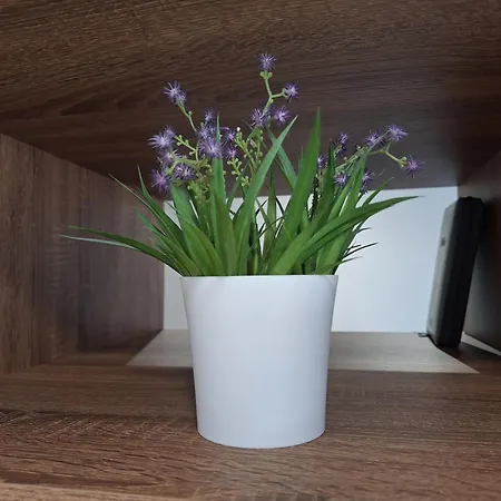 Apartamento Danica